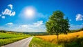 Landscape in summer with bright sun Royalty Free Stock Photo