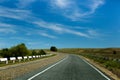 Road landscape summer desert highway