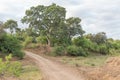 Road landscape with trees and a dry river near Letaba Royalty Free Stock Photo