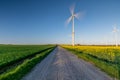 The road through a landscape of wheat and rapeseed fields with a group of wind turbines Royalty Free Stock Photo