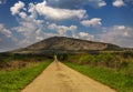 Road lead to Szarsomlyo mountain near Nagyharsany and Villany in Hungary