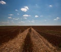 Road leading beyond the horizon on harvested dry wheat field on background of blue sky and white clouds Royalty Free Stock Photo