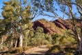 Bunyeroo Gorge in the Flinders Ranges, South Australia