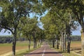 Road leading into the distance in rural France Royalty Free Stock Photo