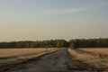 Road leading through fields to green forest Royalty Free Stock Photo