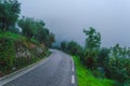 Road leading nowhere among olive groves in Tuscany Italy in the mist at the time of harvest