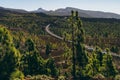 Road leading through Teide National Park, Tenerife Royalty Free Stock Photo