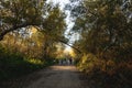 Road leading to distant through tree woods and silhouette of walking people. Forest trekking trail, autumn landscape Royalty Free Stock Photo