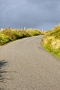 Road leading to Doonagore Castle tower, west of Ireland