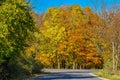 Road Leading to Fall Colored Trees