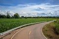 The road leading to a farm in rural Thailand beside the road is a growing green corn field. The background is a beautiful mountain Royalty Free Stock Photo