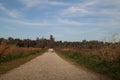 Road leading to the forest under the pure blue sky