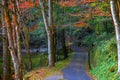 Road Leads to Takachiho Gorge in Miyazaki, Japan in Colorful Autumn