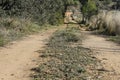 The road leaving afar. Dirt road. Unpaved road. Royalty Free Stock Photo