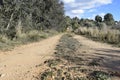 The road leaving afar. Dirt road. Unpaved road.