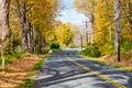 Road lined with autumnal trees on a sunny fall day Royalty Free Stock Photo