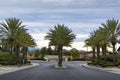 Road lined with palm trees with cloudy sky Royalty Free Stock Photo