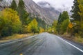 Road lined up with colorful aspen trees Royalty Free Stock Photo