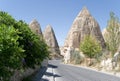 The road is located between the beautiful peaked rocks