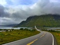 On the road on Lofoten islands