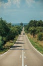 Road with lonely car through rural landscape and trees