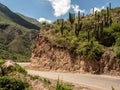 A Road through the Los Cardones National Park Royalty Free Stock Photo