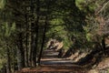 Road at Los Picarazos 1,450 m., rock formations, Villaverde de Guadalimar, Sierra de Alcaraz y del Segura