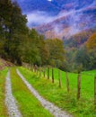 Road that is lost in the forest in autumn, Araitz valley, Navarra Royalty Free Stock Photo