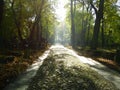 Road of a lutheran cemetery Royalty Free Stock Photo