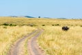 Road of Maasai Mara Royalty Free Stock Photo