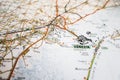 Road map over Venezia in Italy Royalty Free Stock Photo