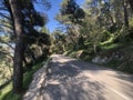 Road through Marjan Forest Park