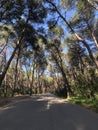 Road through Marjan Forest Park