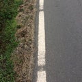 Road marking near the roadside