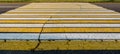 Road marking pedestrian crossing on cracked asphalt Royalty Free Stock Photo