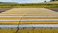 Road marking pedestrian crossing on cracked asphalt Royalty Free Stock Photo