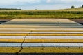 Road marking pedestrian crossing on cracked asphalt Royalty Free Stock Photo