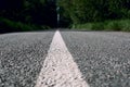 Road markings on asphalt in the forest Royalty Free Stock Photo