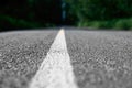 Road markings on the asphalt in the forest Royalty Free Stock Photo