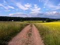 Road and meadow Royalty Free Stock Photo