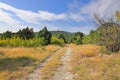 Road through the meadow to the mountains Royalty Free Stock Photo