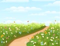 Road. Meadow with wildflowers and butterflies. illustration. Grass close-up. Green landscape. Summer sky. Cartoon style Royalty Free Stock Photo