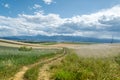 Road in the medow Royalty Free Stock Photo