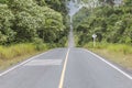 The road in middle forest