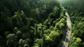 Road in the middle of the forest view from above. Generative AI Royalty Free Stock Photo