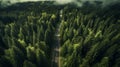 Road in the middle of the forest view from above. Generative AI Royalty Free Stock Photo