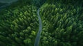 Road in the middle of the forest view from above. Generative AI Royalty Free Stock Photo