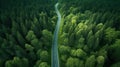 Road in the middle of the forest view from above. Generative AI Royalty Free Stock Photo