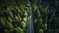 Road in the middle of the forest view from above. Generative AI Royalty Free Stock Photo