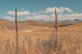 Road in the middle of nowhere in New Zealand Royalty Free Stock Photo